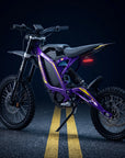 ThunderWasp TE Off-Road Electric Dirt Bike For Teens & Adults