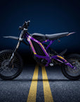 ThunderWasp TE Off-Road Electric Dirt Bike For Teens & Adults